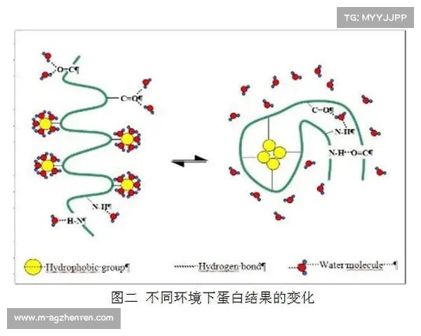 布冯转会费与世界杯冠军次数的关系探讨及其背后意义 布冯转会费与世界杯冠军次数的关系探讨及其背后意义